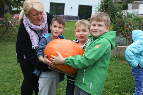 Kürbisernte 2016