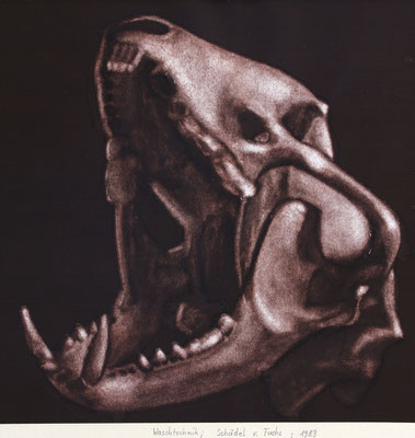 Fuchsschädel, rotbraune Pigmente mit Wasser aufgetragen auf Papier / Auswaschtechnik / 1983 