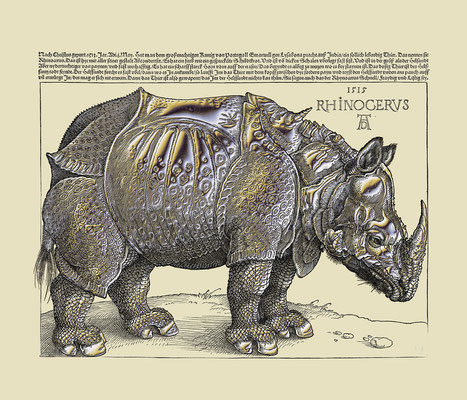 RHINOCERUS / Silber / UNIKAT / 2018 k