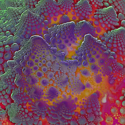 Romanesco / 2023