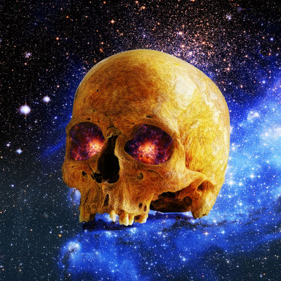Träumender Schädel - Bone / 2019 / Arbeitstitel: Erdbewohner v