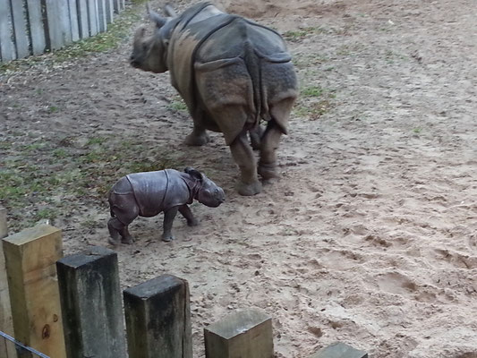 Sani mit Baby Savita