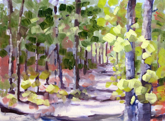 Forrest Walk 3   9x12              Demo: working with greens. distant & forground             75