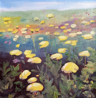 Yarrow Field    6x6 oil on birch box panel -  $100.CAD - free shipping    To purchase or view, please contact me.