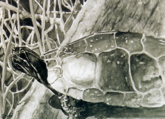 Turtle on Log - sold