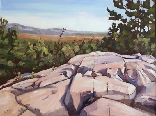 Granite Ridge View (Killarney)  24x18 oil on canvas. Framed in simple natural wood floater frame.  864.00 CA  To purchase or view, please contact me. 