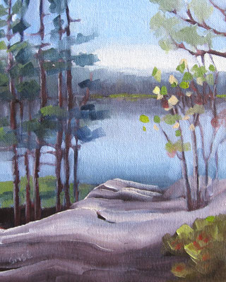 2017  8x10 oil - plein air in Killarney