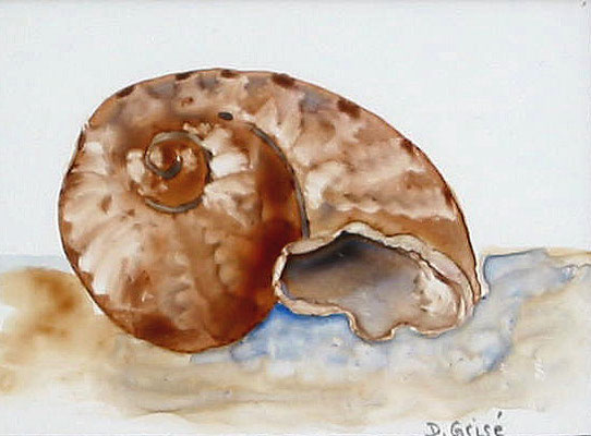 2003