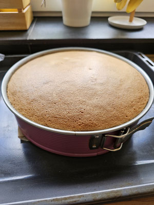 Fertig gebackener Biskuitboden für selbstgemachten Erdbeerkuchen