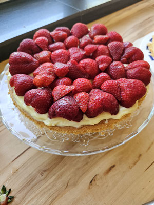 Biskuitboden mit frischen Erdbeeren belegt