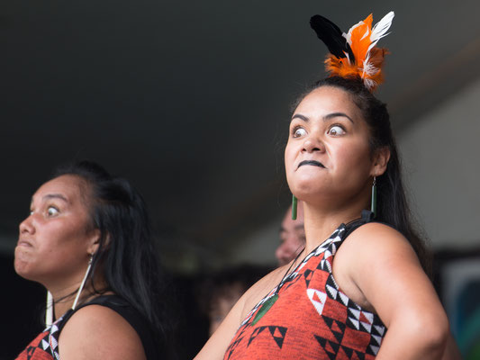 Pasifika Festival, rassemblement des Maoris de tous les pays aux alentours