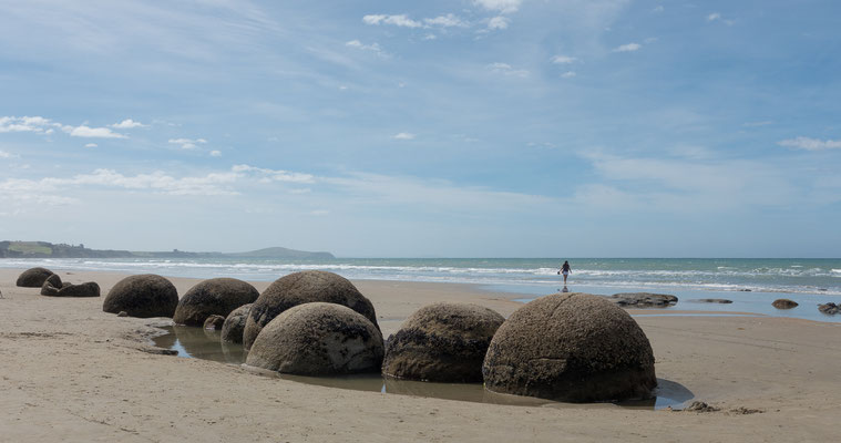Moeraki Boulders, certaines pèsent plusieurs tonnes et vont jusqu'à 3 m de diamètre dû à une érosion de 60 millions d'années dans le sable des falaises côtières