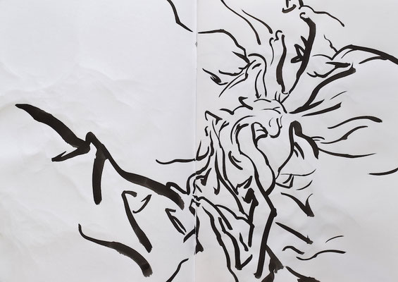 Drawing book  [Sumi-Japanese ink on paper, 42x60cm, 2021]