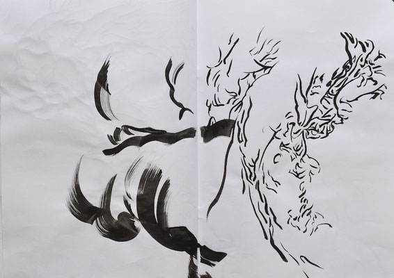 Drawing book  [Sumi-Japanese ink on paper, 42x60cm, 2021]