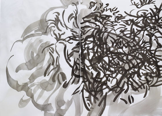 Drawing book  [Sumi-Japanese ink on paper, 42x60cm, 2021]