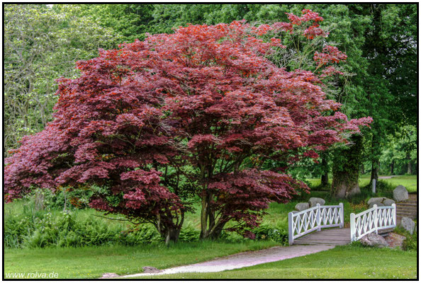 Naturfotografie # Landschaftsfotografie # Roland Valter # Fotograf # Aachen # rolva
