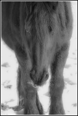 Naturfotografie # Landschaftsfotografie # Roland Valter # Fotograf # Aachen # rolva