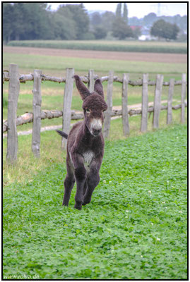 Naturfotografie # Landschaftsfotografie # Roland Valter # Fotograf # Aachen # rolva