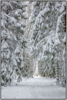 Naturfotografie # Landschaftsfotografie # Roland Valter # Fotograf # Aachen # rolva