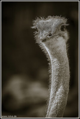 Naturfotografie # Landschaftsfotografie # Roland Valter # Fotograf # Aachen # rolva