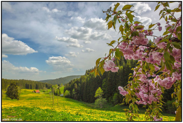 Naturfotografie # Landschaftsfotografie # Roland Valter # Fotograf # Aachen # rolva