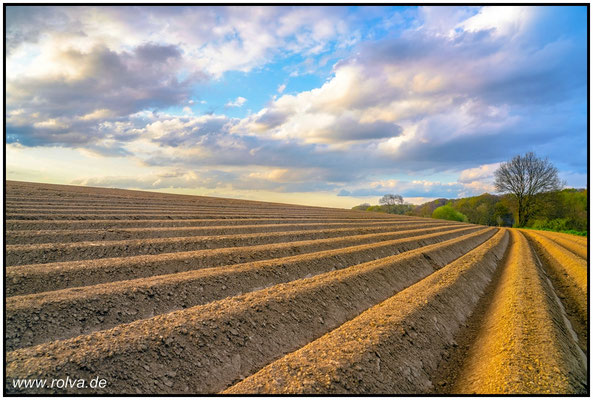 Naturfotografie # Landschaftsfotografie # Roland Valter # Fotograf # Aachen # rolva