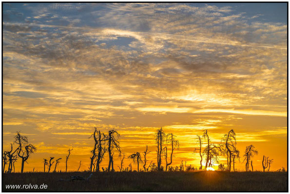 Naturfotografie # Landschaftsfotografie # Roland Valter # Fotograf # Aachen # rolva