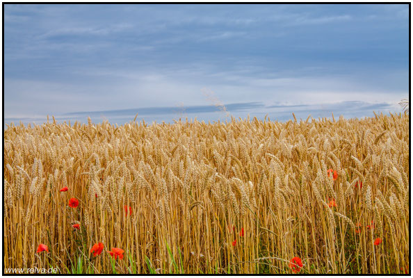 Naturfotografie # Landschaftsfotografie # Roland Valter # Fotograf # Aachen # rolva