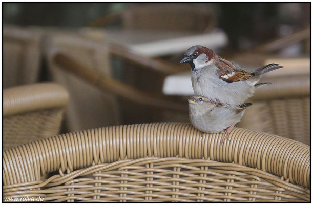 Naturfotografie # Landschaftsfotografie # Roland Valter # Fotograf # Aachen # rolva