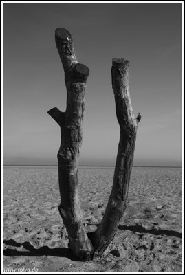 Naturfotografie # Landschaftsfotografie # Roland Valter # Fotograf # Aachen # rolva