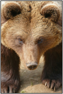 Naturfotografie # Landschaftsfotografie # Roland Valter # Fotograf # Aachen # rolva