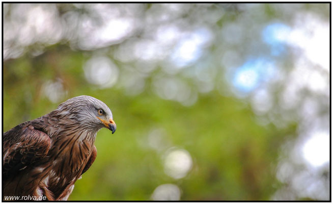 Naturfotografie # Landschaftsfotografie # Roland Valter # Fotograf # Aachen # rolva
