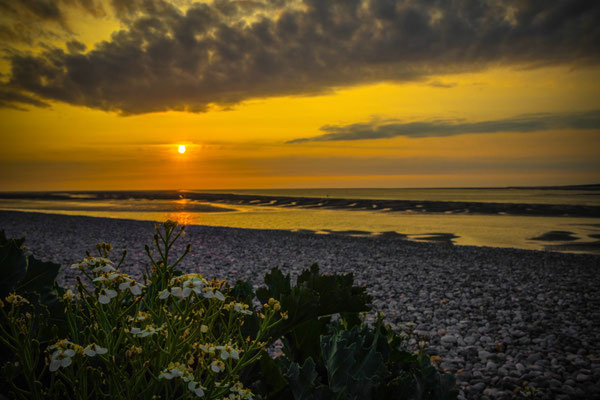 Naturfotografie # Landschaftsfotografie # Roland Valter # Fotograf # Aachen # rolva