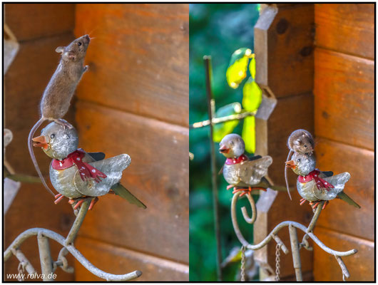 Naturfotografie # Landschaftsfotografie # Roland Valter # Fotograf # Aachen # rolva