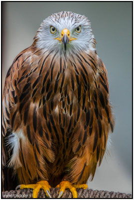 Naturfotografie # Landschaftsfotografie # Roland Valter # Fotograf # Aachen # rolva