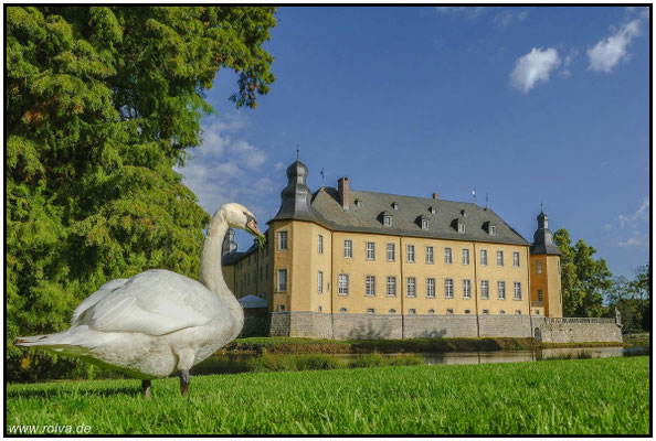 Naturfotografie # Landschaftsfotografie # Roland Valter # Fotograf # Aachen # rolva