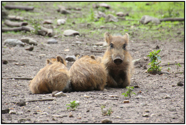 Naturfotografie # Landschaftsfotografie # Roland Valter # Fotograf # Aachen # rolva