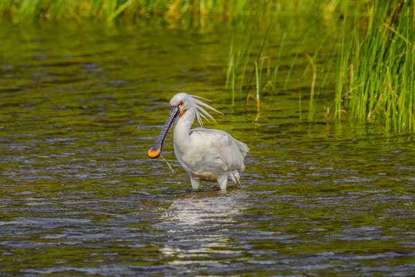 Naturfotografie # Landschaftsfotografie # Roland Valter # Fotograf # Aachen # rolva