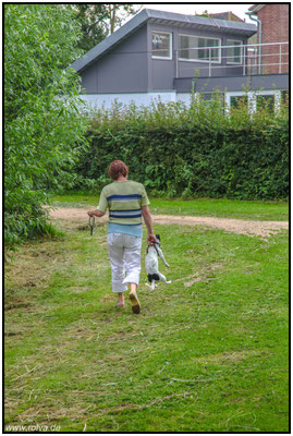 Wer nicht hören will muß fühlen#Sonderbares