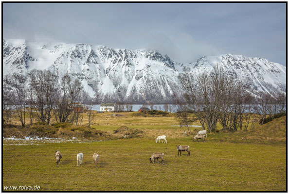 Naturfotografie # Landschaftsfotografie # Roland Valter # Fotograf # Aachen # rolva