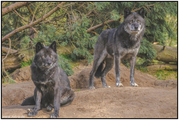 Naturfotografie # Landschaftsfotografie # Roland Valter # Fotograf # Aachen # rolva