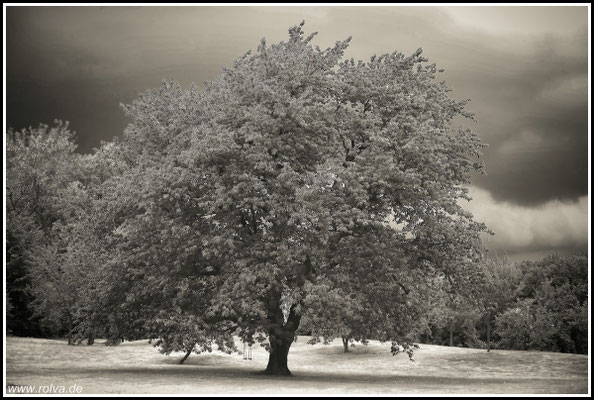 Naturfotografie # Landschaftsfotografie # Roland Valter # Fotograf # Aachen # rolva