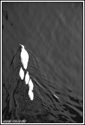 Naturfotografie # Landschaftsfotografie # Roland Valter # Fotograf # Aachen # rolva