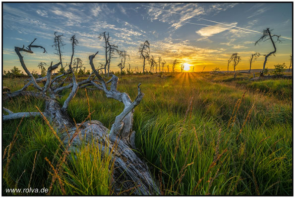 Naturfotografie # Landschaftsfotografie # Roland Valter # Fotograf # Aachen # rolva