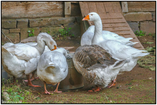 Naturfotografie # Landschaftsfotografie # Roland Valter # Fotograf # Aachen # rolva