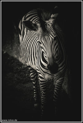 Naturfotografie # Landschaftsfotografie # Roland Valter # Fotograf # Aachen # rolva