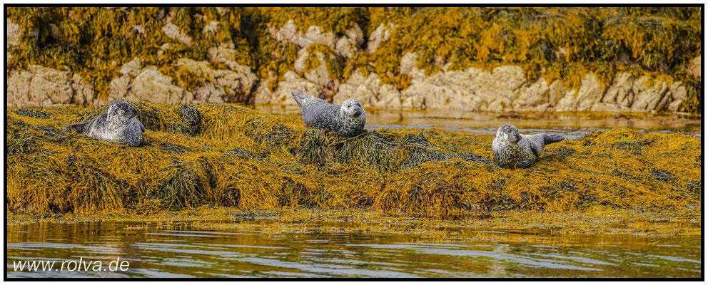 Naturfotografie # Landschaftsfotografie # Roland Valter # Fotograf # Aachen # rolva