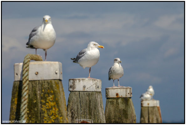Naturfotografie # Landschaftsfotografie # Roland Valter # Fotograf # Aachen # rolva