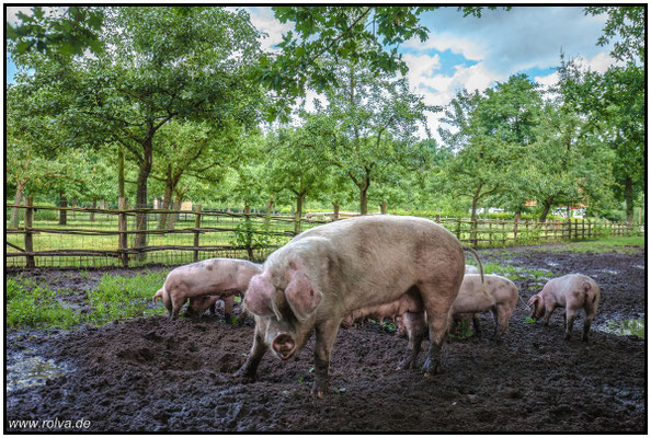 Naturfotografie # Landschaftsfotografie # Roland Valter # Fotograf # Aachen # rolva