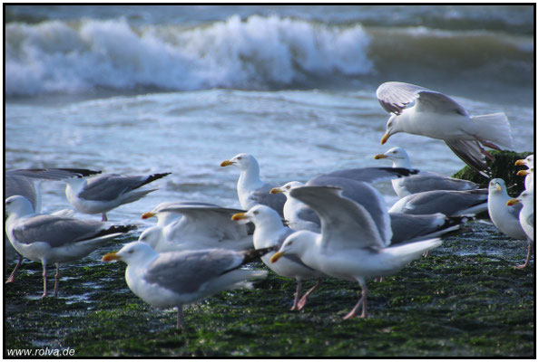 Naturfotografie # Landschaftsfotografie # Roland Valter # Fotograf # Aachen # rolva